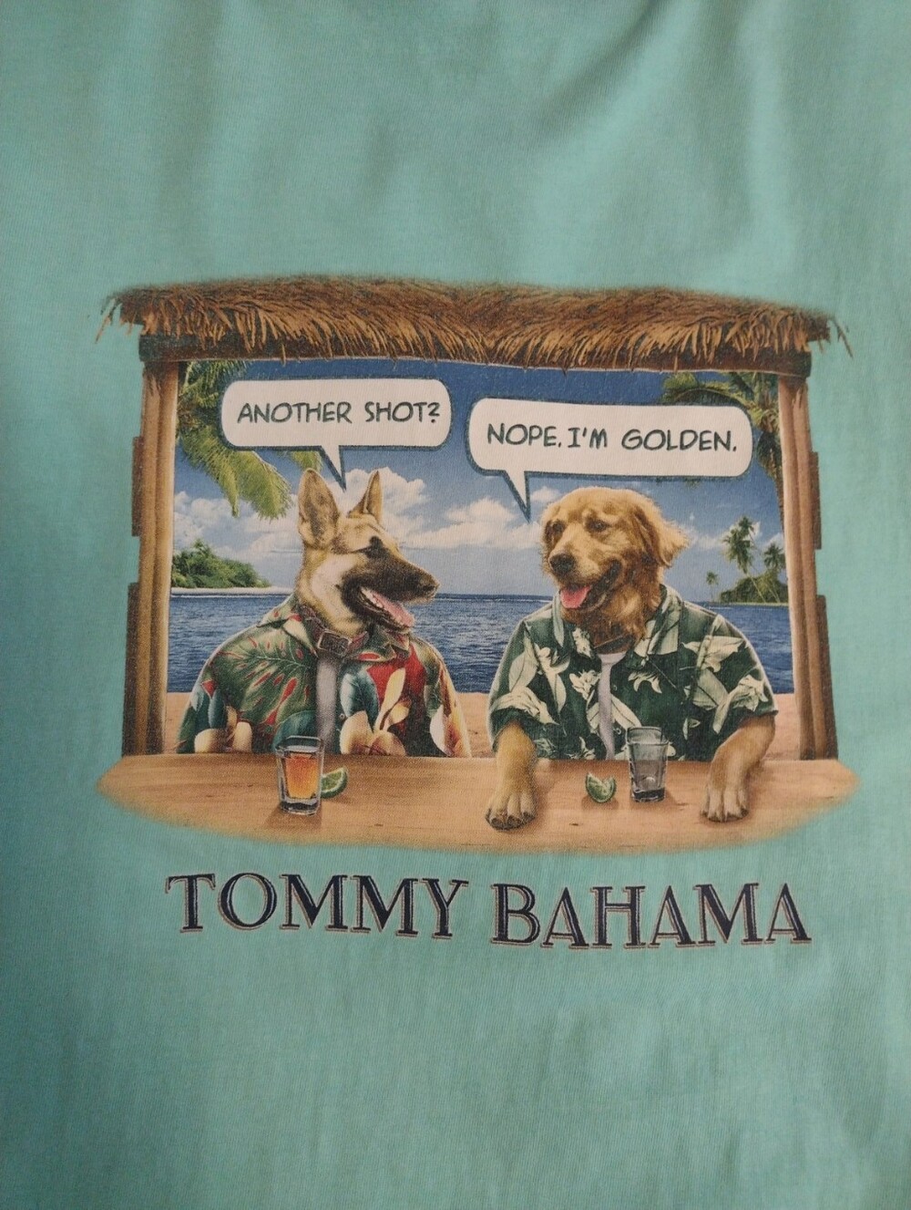Tommy Bahama T Shirt Mens M Mint Green Another Shot Golden Dog Beach Bar Graphic